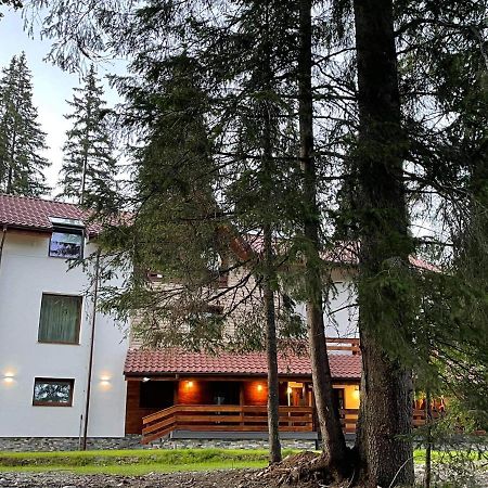 Sidharta Resort Obarsia-Lotrului Buitenkant foto