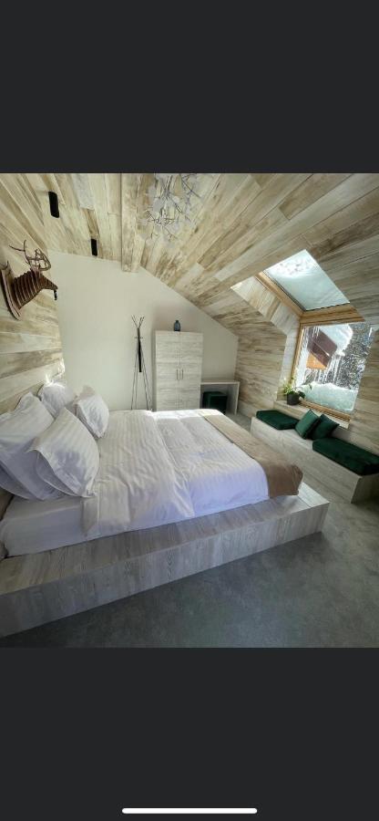 Sidharta Resort Obarsia-Lotrului Buitenkant foto