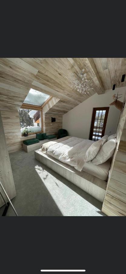 Sidharta Resort Obarsia-Lotrului Buitenkant foto