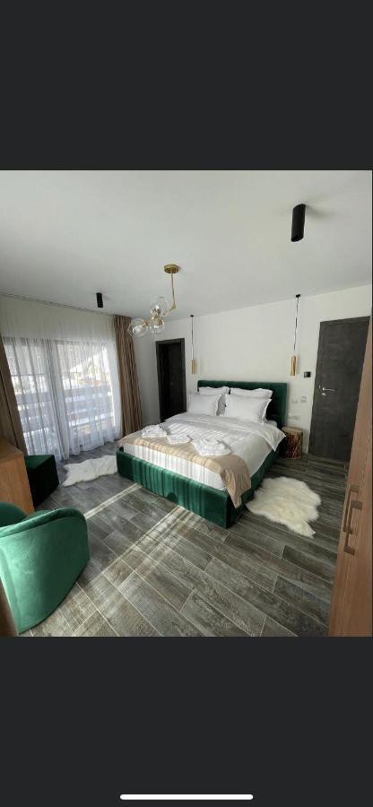 Sidharta Resort Obarsia-Lotrului Buitenkant foto