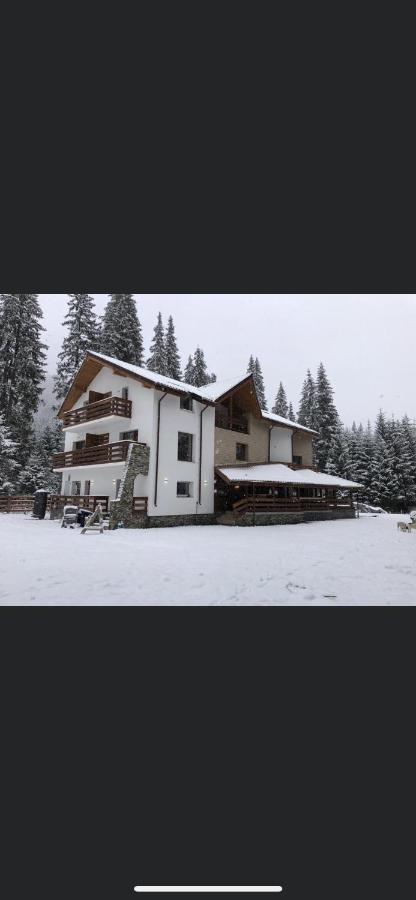 Sidharta Resort Obarsia-Lotrului Buitenkant foto