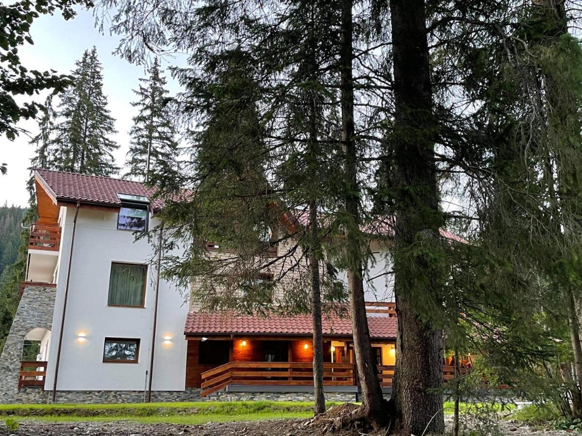 Sidharta Resort Obarsia-Lotrului Buitenkant foto